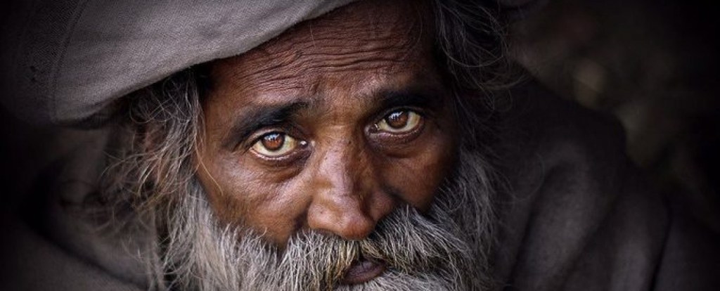 Cee’s Odd Ball Photo Challenge&nbsp;11/11/2016