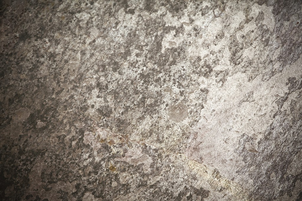 Mundane Monday |&nbsp;88