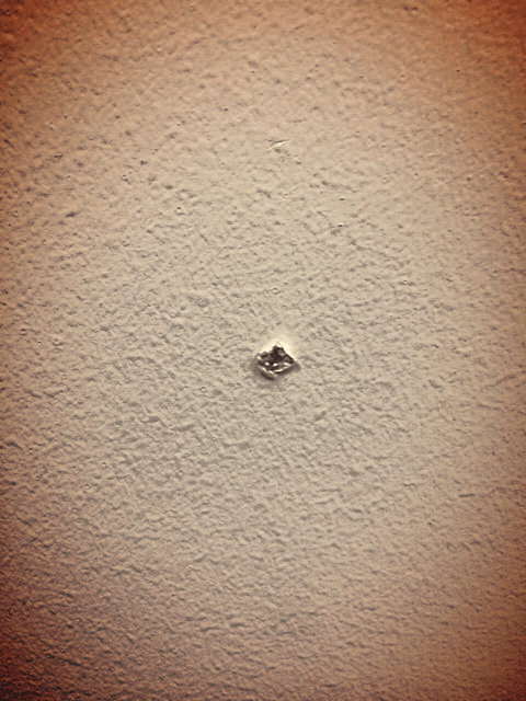 Tuesdays of Texture |&nbsp;51