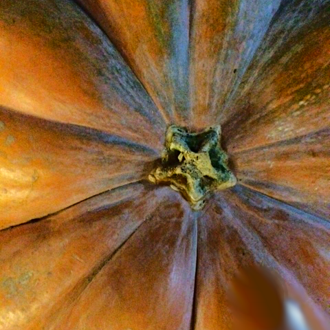 TheAbjectMuse/SusanWritesPrecise