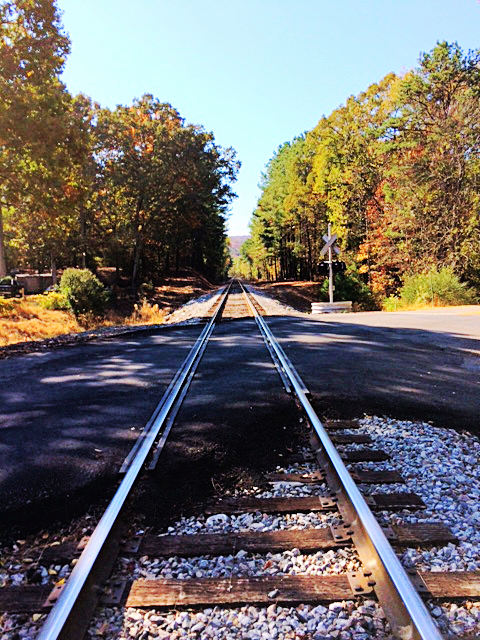 Cee’s Which Way Photo&nbsp;Challenge