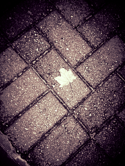 Cee’s Oddball Photo Challenge | Week&nbsp;44