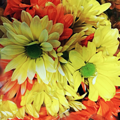 The Abject Muse/SusanWritesPrecise