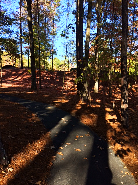 The Abject Muse/SusanWritesPrecise