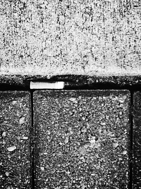 SusanWritesPrecise/TheAbjectMuse