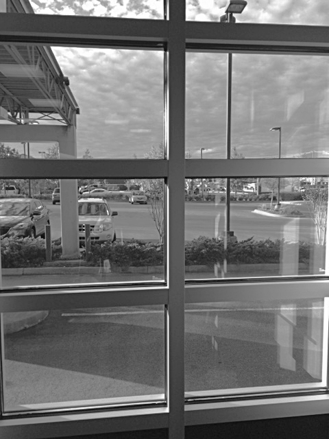 SusanWritesPrecise/TheAbjectMuse