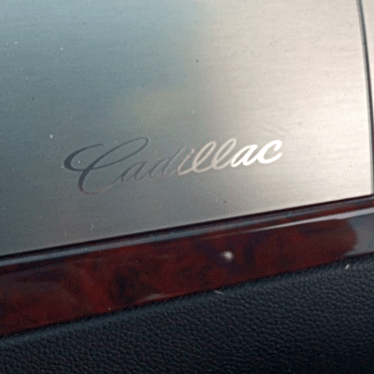 Susan Writes Precise/The Abject Muse