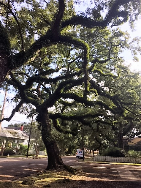 Cee’s Which Way Photo Challenge11/9/2016