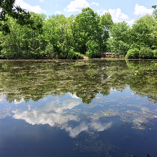 SusanWritesPrecise/TheAbjectMuse