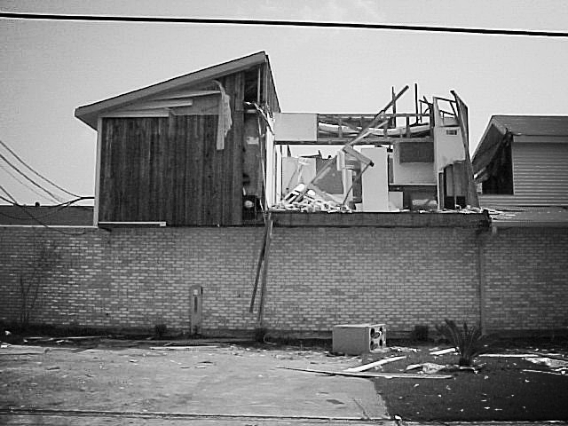 Susan Writes Precise/The Abject Muse