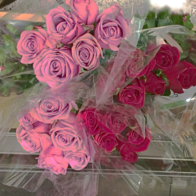 SusanWritesPrecise/TheAbjectMuse