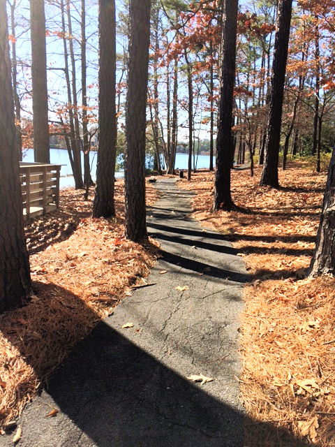 SusanWritesPrecise/TheAbjectMuse