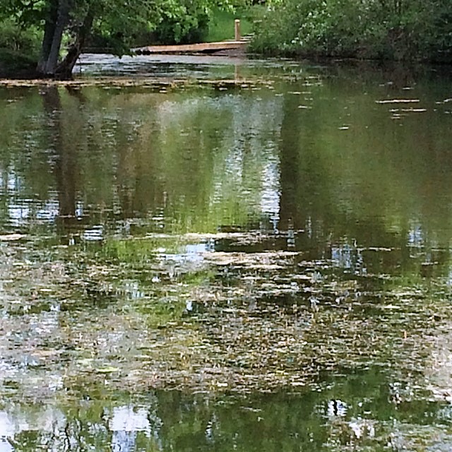 Susan Writes Precise/ The Abject Muse