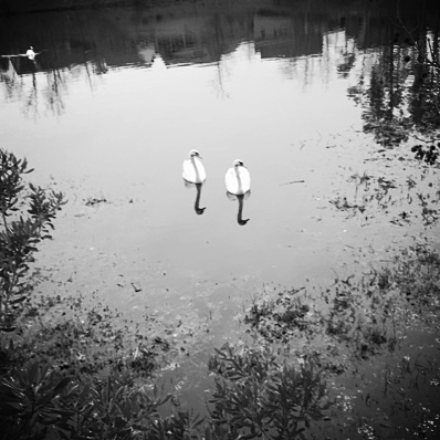 Susan Writes Precise/ The Abject Muse