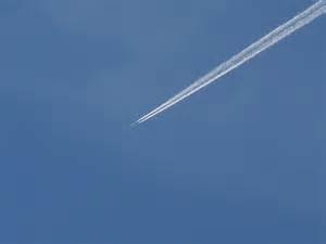 Susan Marie Shuman/SusanWritesPrecise