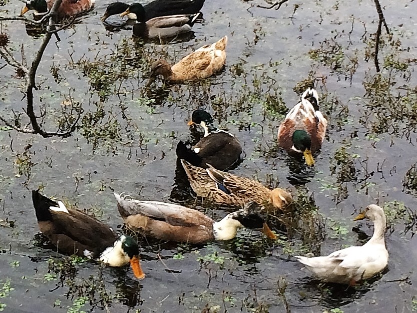 Susan Marie Shuman/SusanWritesPrecise