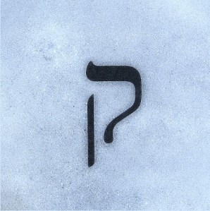 Susan Writes Precise/Susan Marie Shuman