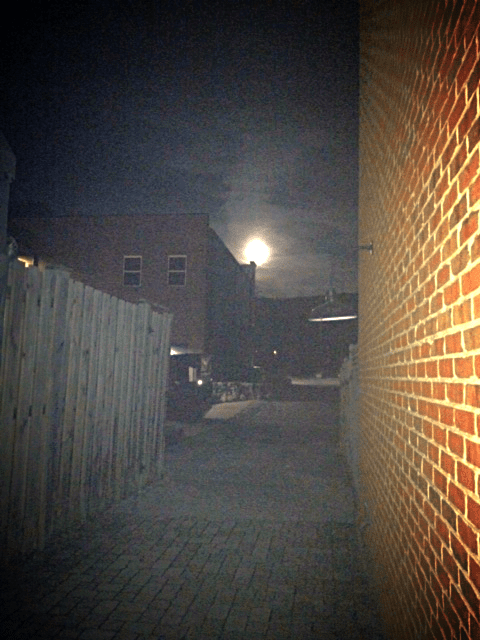 Susan Writes Precise