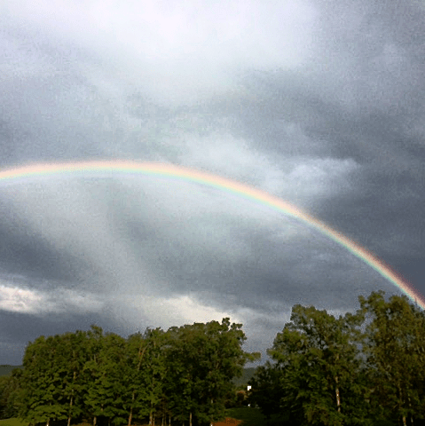 Susan Marie Shuman/ Sisan Writes Precise