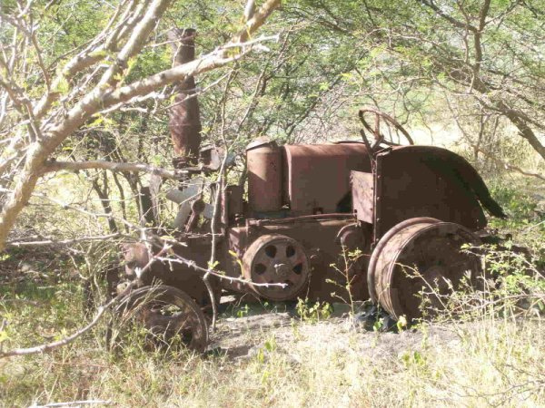 SusanWritesPrecise/ Susan Marie Shuman