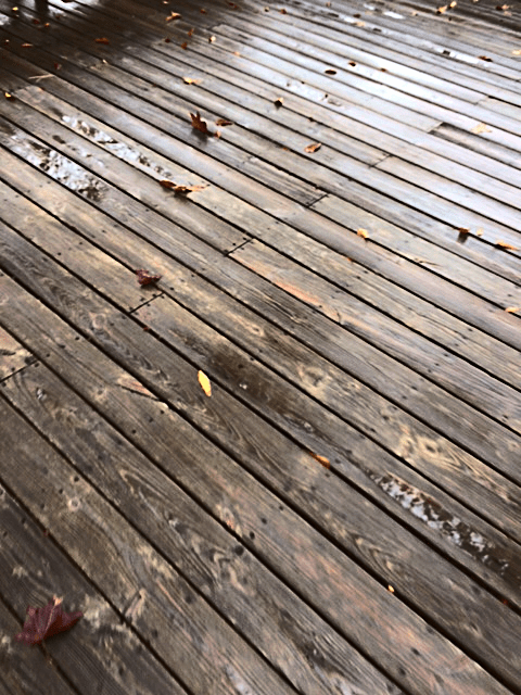 CFFC: The Letter&nbsp;P