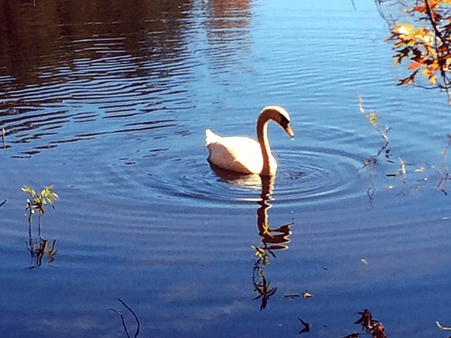 Cee’s Which Way Photo Challenge&nbsp;1/5/2018