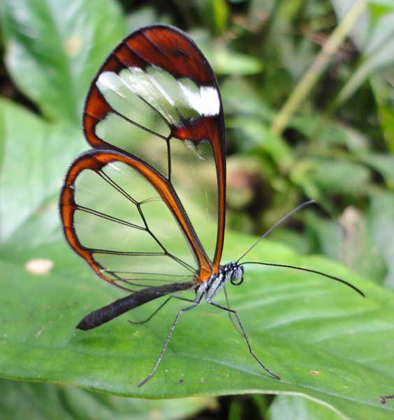 SusanWritesPrecise/ Susan Marie Shuman