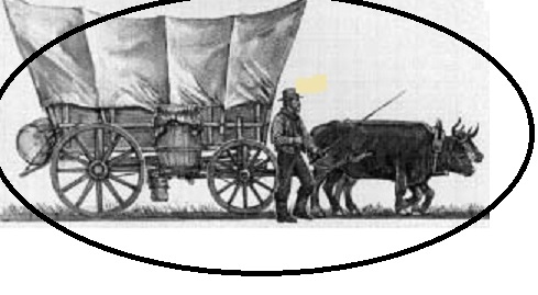 SusanWritesPrecise/Susan Marie Shuman