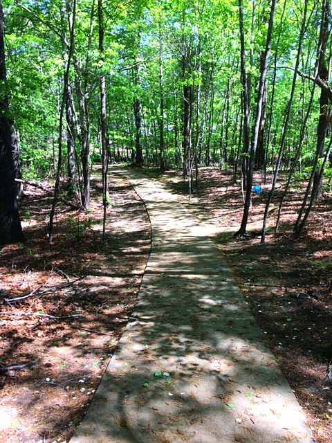 SusanWritesPrecise/Susan Marie Shuman