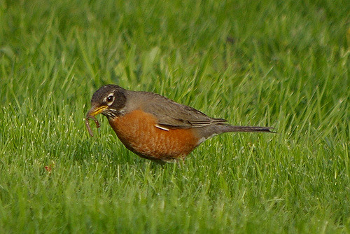 SusanWritesPrecise/Susan Marie Shuman