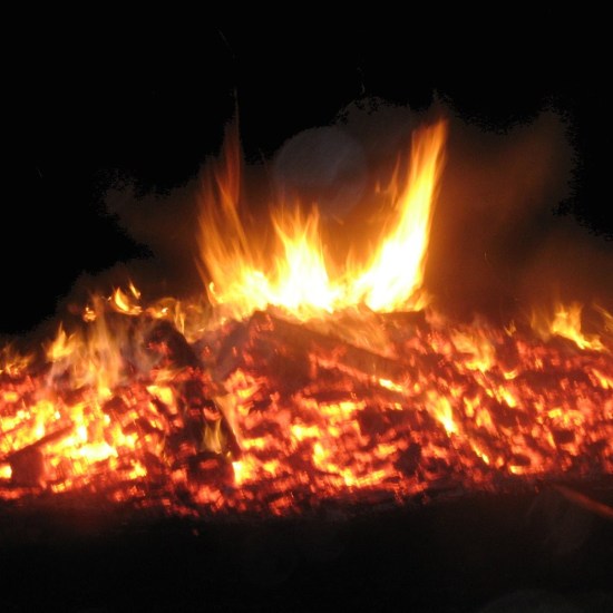 Susan Marie Shuman/ Susan Writes Precise