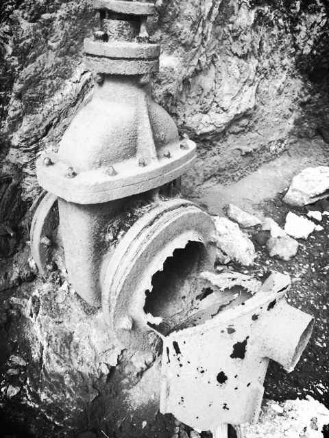 Cee’s B&W Challenge Open&nbsp;Topic