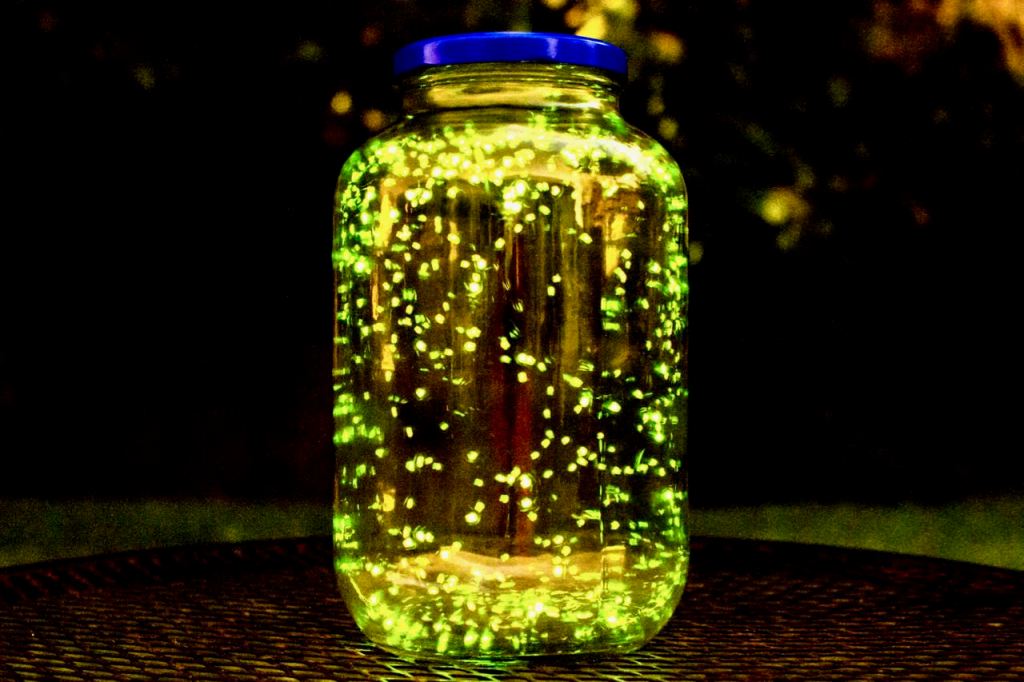 SusanWritesPrecise/ Susan Marie Shuman