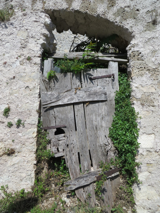 SusanWritesPrecise/ Susan Marie Shuman