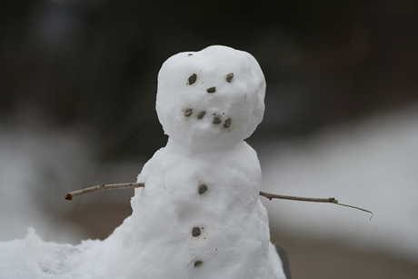 SusanWritesPrecise/Susan Marie Shuman