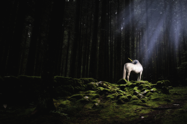 Susan Marie Shuman/ SusanWritesPrecise