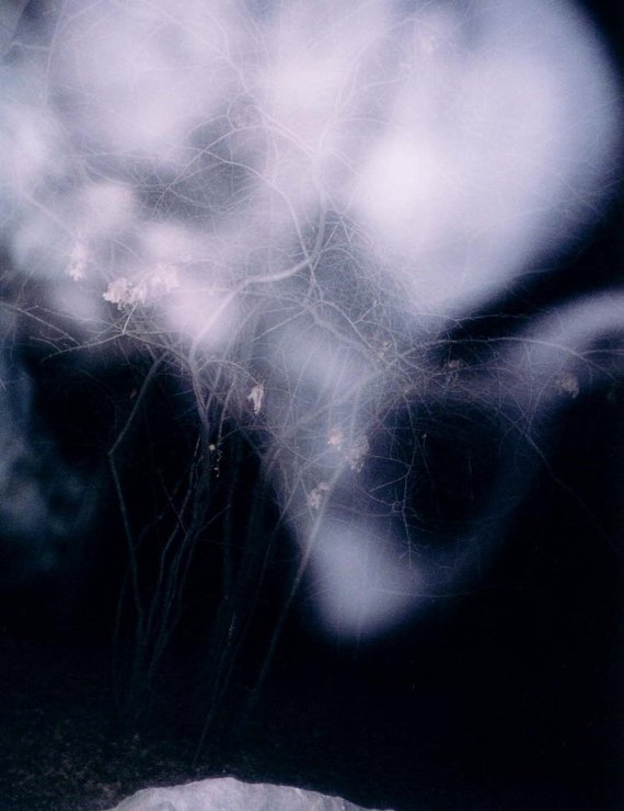 SusanWritesPrecise/ Susan Marie Shuman