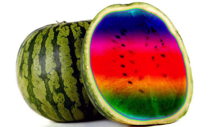 Susan Marie Shuman/SusanWritesPrecise