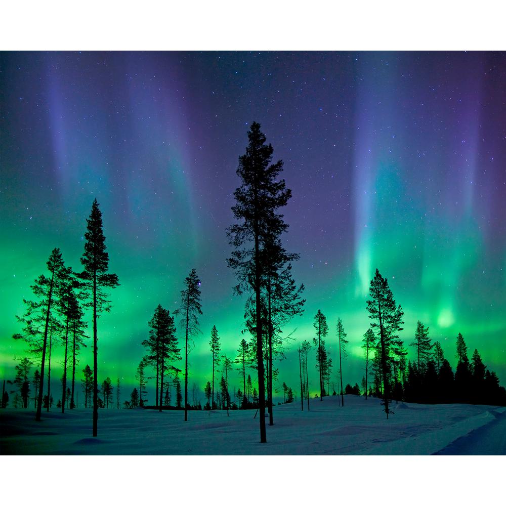 SusanWritesPrecise/Susan Marie Shuman