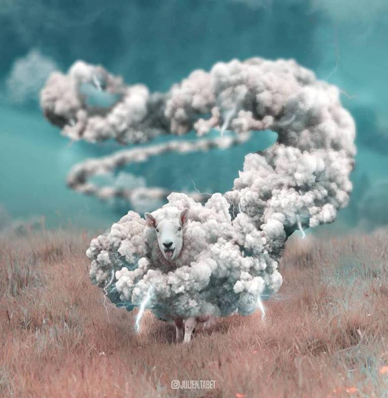 SusanWritesPrecise/ Susan Marie Shuman