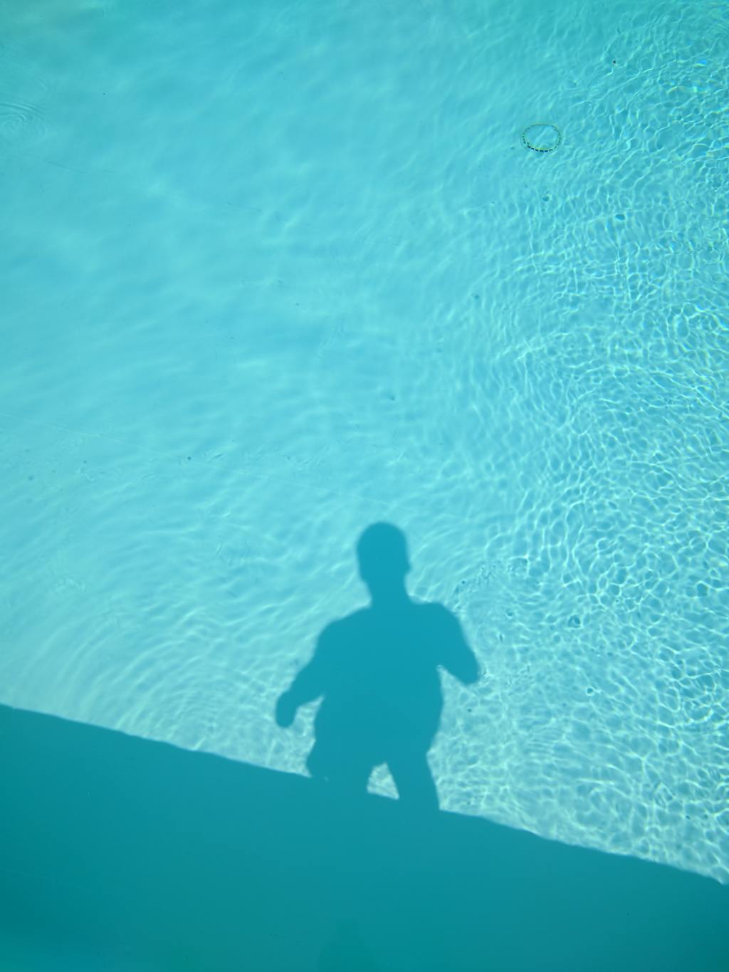 Fibbing Friday | 1/29/2021